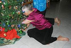 Kathy Morefield working on the tree